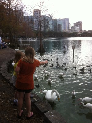 8350323539_d326de3c76_o